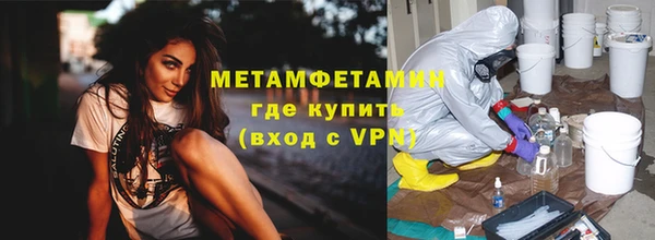 сатива Беломорск