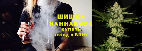 сатива Беломорск