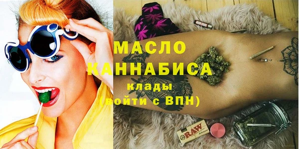 сатива Беломорск