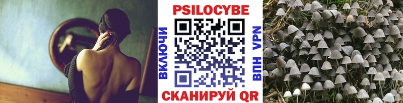 Галлюциногенные грибы MAGIC MUSHROOMS  наркота  Монино 